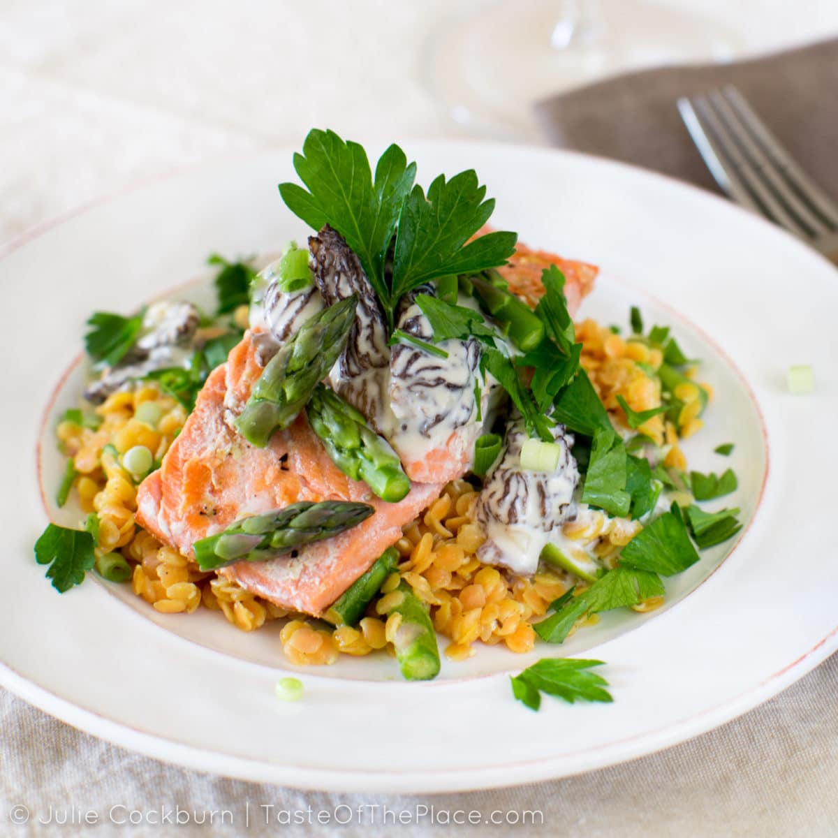 Salmon with morels and zingy lentil asparagus salad
