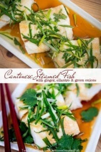 Cantonese steamed fish with ginger cilantro green onions at TasteOfThePlace.com