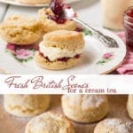 Light and fluffy, with just a hint of sweetness, fresh British scones are perfect for slathering with clotted cream and strawberry jam. TasteOfThePlace.com