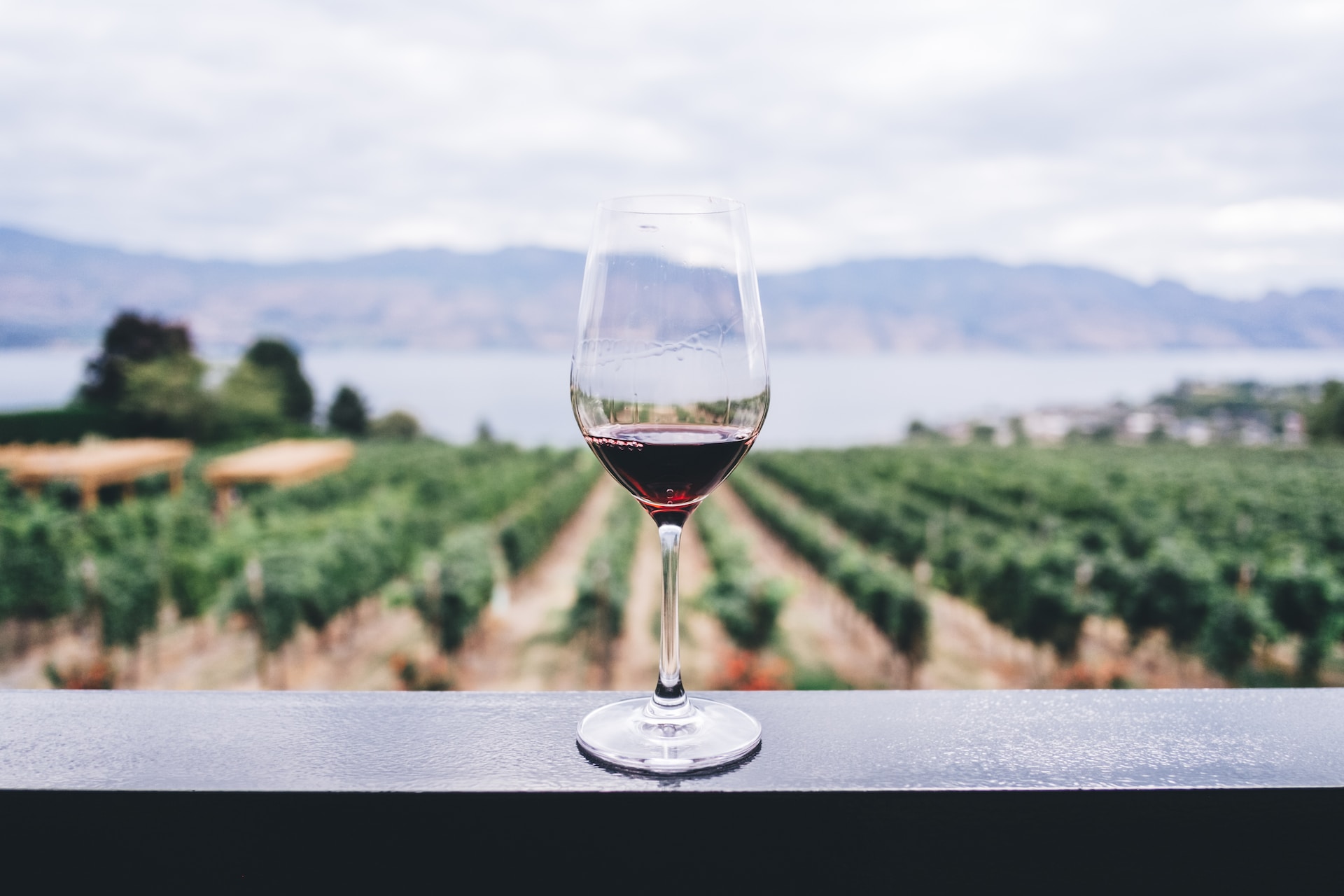wine and vineyard - can you taste the terroir?